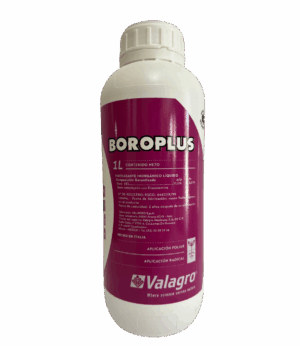 Boroplus 1LT