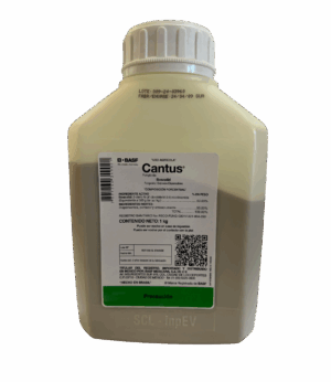 Cantus 1kg