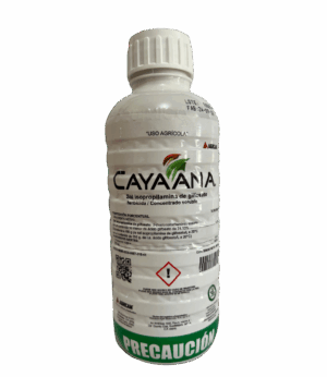 Cayaana 1LT