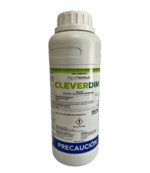 Cleverdim