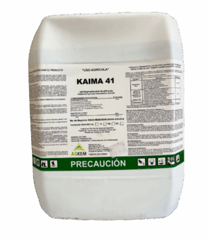 Kaima 41