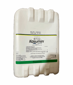 Kasumin