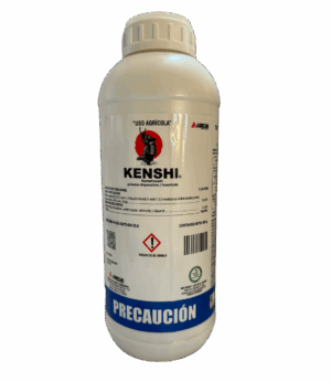 Kenshi 1LT