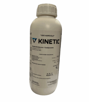 Kinetic 1LT