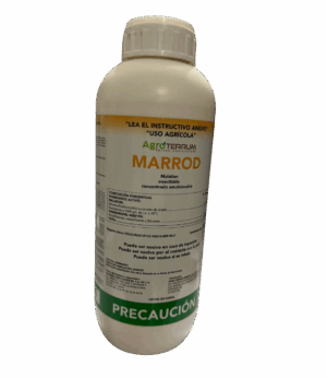 Marrod 1LT