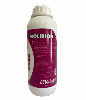 Molibion