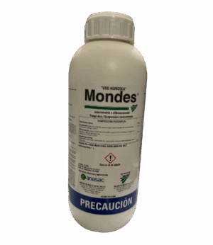 Mondes 1LT