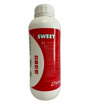 Sweet 1LT