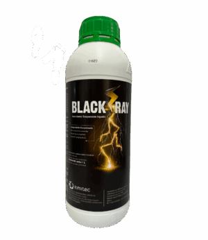 Black Ray 1LT