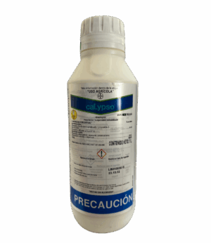 Calypso 1L