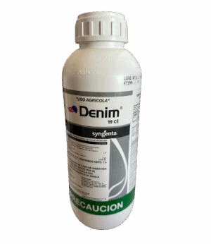 Denim 19 CE