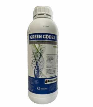 Green Codex 1L