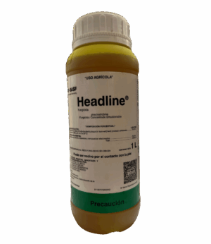 Headline 1L
